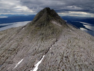 Alsta - Sedum sester -Norsko